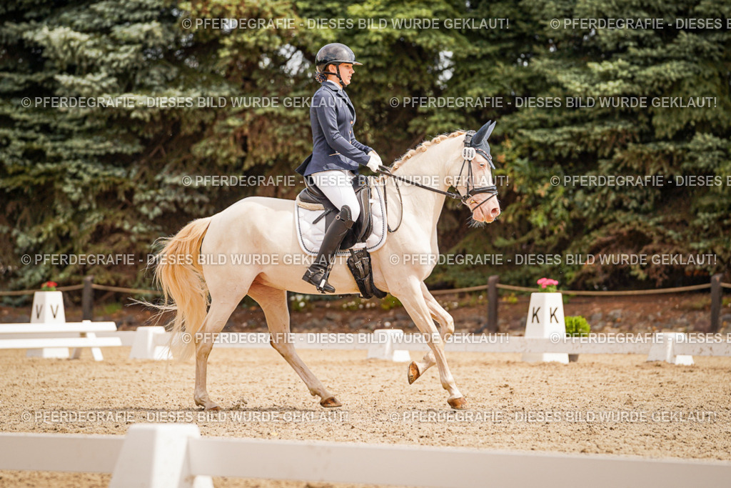 DSC01970 | Pferdegrafie