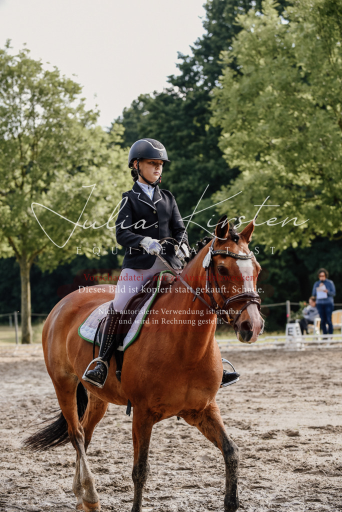 DSC_9137 | Pferde- und Turnierfotografie in Westsachsen. Pferdeportraits, Auftragszeichnungen und intuitive Kunst.