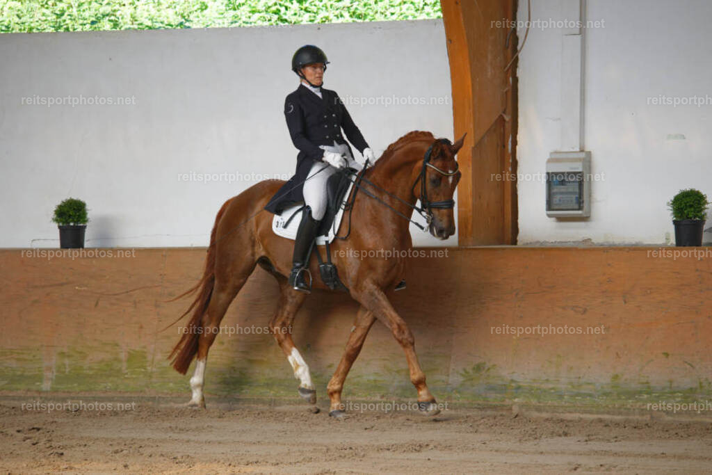 JHE_5437 | JoYa Fotografie - Realisiert mit Pictrs.com
