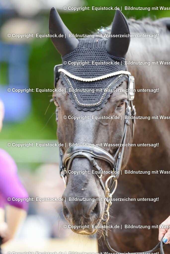 20250608_CVI-Masterclass_1032 | Foto: Thomas Hartig