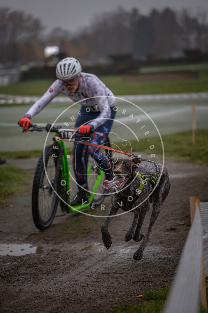 CaniXpix_0L8A0444 | Hundefotografie, Tierfotograf, Pfotenfotografie, Fotoshooting Hund, Hunde Portrait, Hundesport, Hundeportraits, Heideshooting, Hunde, Sportfotograf, Hundefotograf, Turnierhundsport, THS,  - Realisiert mit Pictrs.com