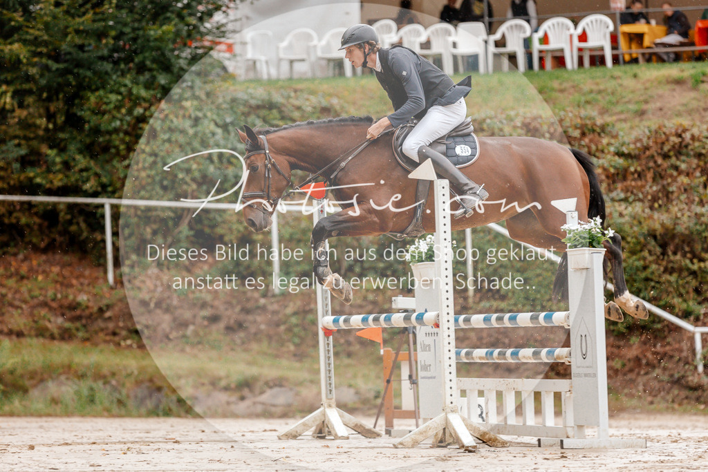 3I6A5647 | Stimmungsvolle Portraits und Reitsportfotografie im Ruhrgebiet und im Münsterland.

Pferdefotografie, Hundefotografie, Tierfotografie, Reportagen, Portraits von Tier und Mensch, Turnierfotografie in Bochum, Recklinghausen, Marl, Haltern am See, Dülmen.. - Realisiert mit Pictrs.com