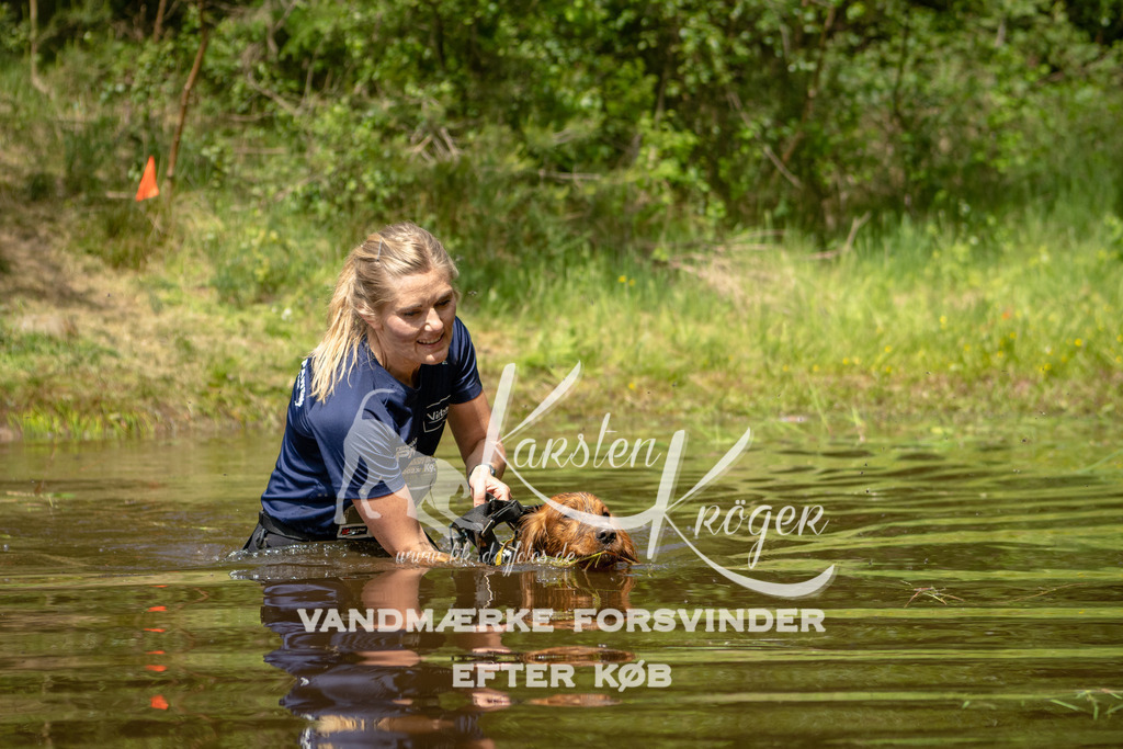 1237DKK993180 | kk-dogfotos