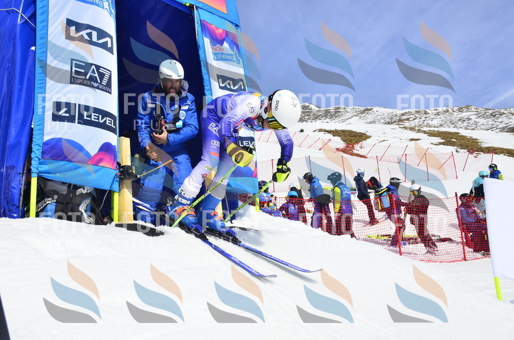 _ELE1693 | holidayphoto