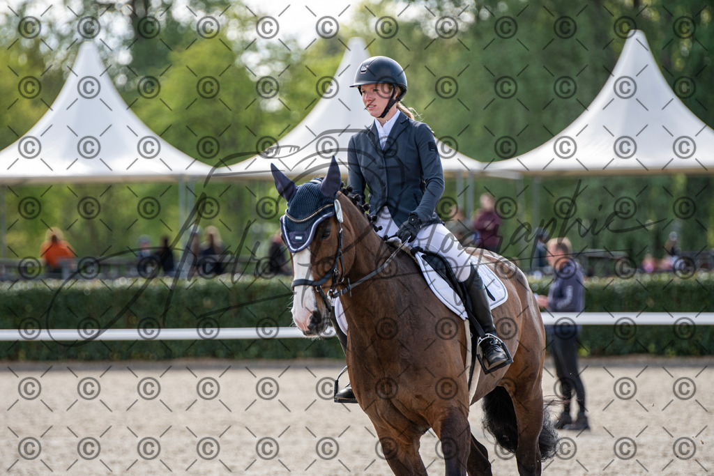 KPT_4783 | andre_photographic