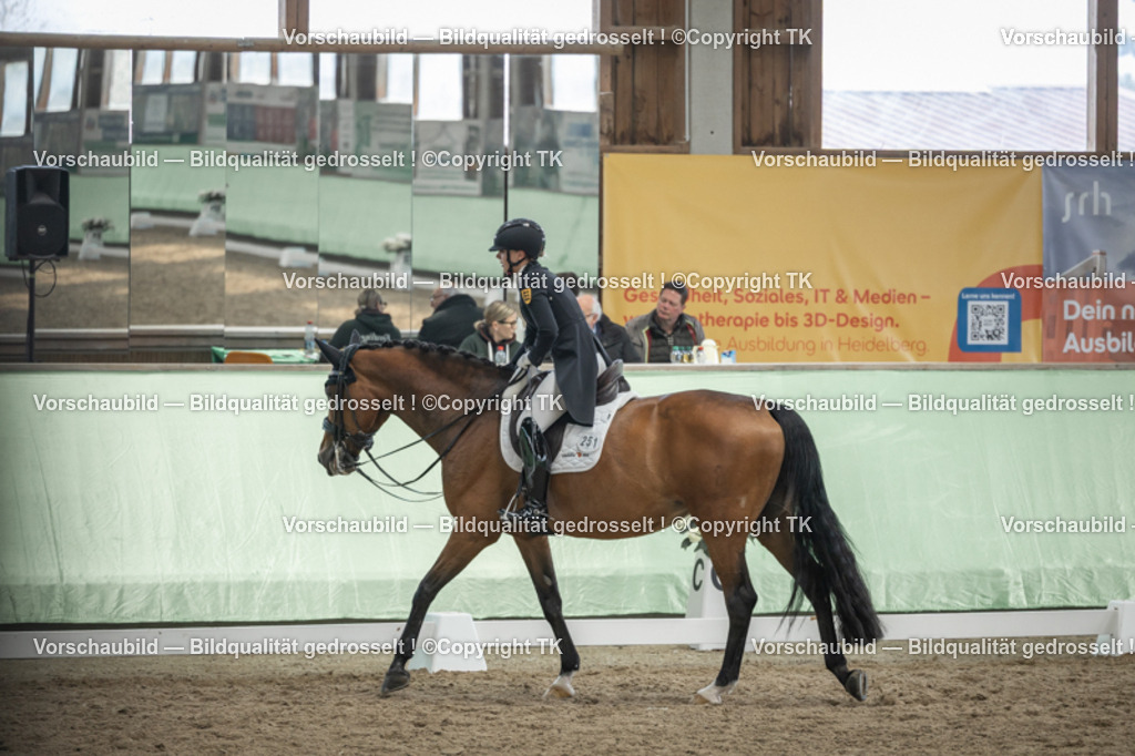 _D5A6713 | Emotionale Pferde- & People-Fotografie rund um Heidelberg, Leimen & Umgebung. Natürliche Fotos von Pferd, Mensch & Familie. Jetzt Termin sichern!