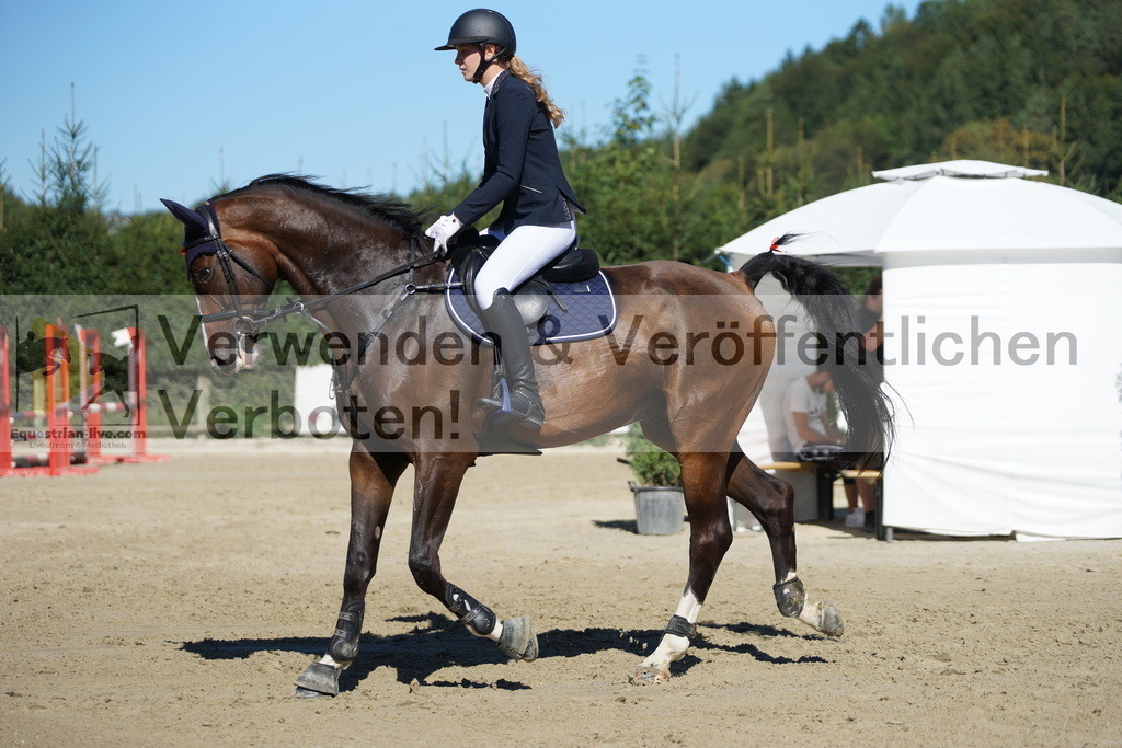 DSC08467 | equestrian-live-com