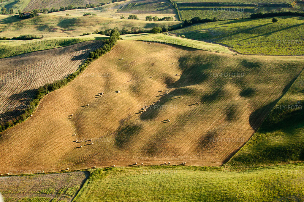 Vue aérienne: Paysage de récolte de paille avec des balles rondes dans un champ près de Montsoli à Montalcino dans le département Siena, Italie. Photo: IMG_28170.jpg prise le 01/06/2010 par Werner Riehm/FLY-FOTO.eu – Résolution de l'original: 4752 x 3168 px