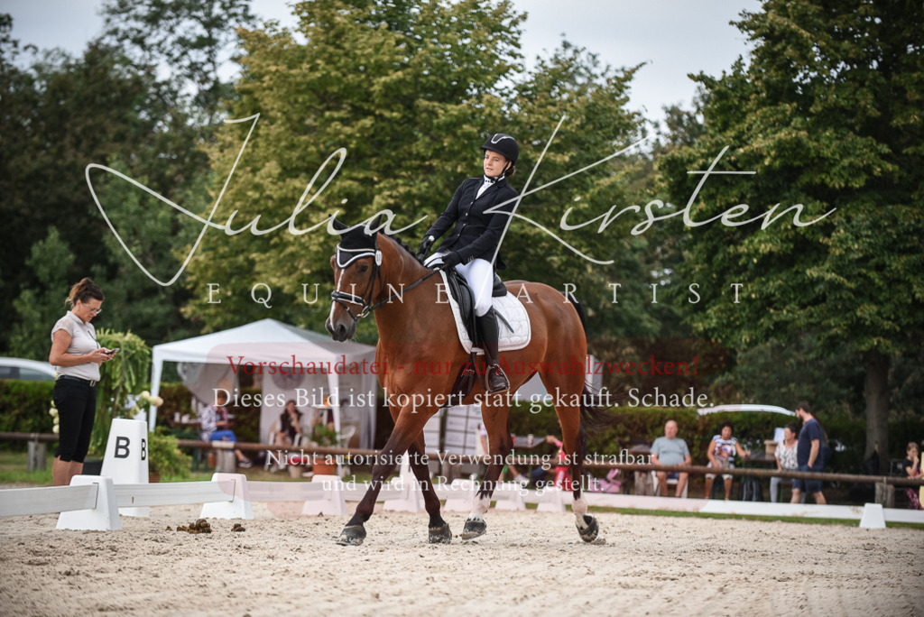 DSC_8067 | Pferde- und Turnierfotografie in Westsachsen. Pferdeportraits, Auftragszeichnungen und intuitive Kunst.