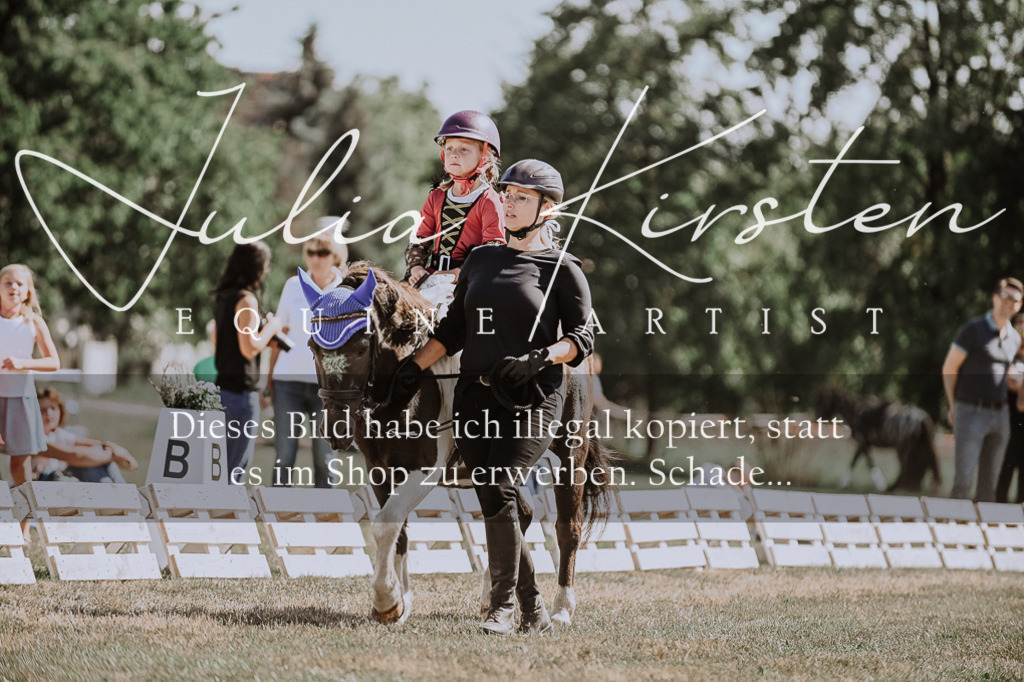 DSC_8866 | Pferde- und Turnierfotografie in Westsachsen. Pferdeportraits, Auftragszeichnungen und intuitive Kunst.