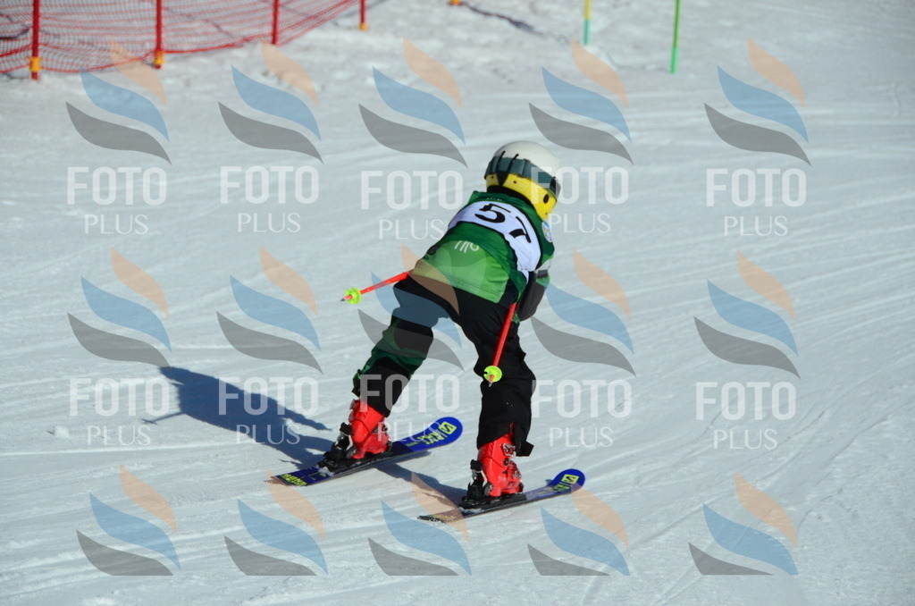 C5314 | holidayphoto