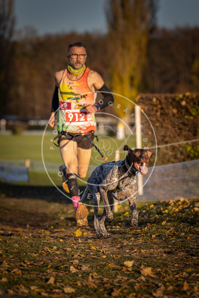 CaniXpix_DV3A4796 | Hundefotografie, Tierfotograf, Pfotenfotografie, Fotoshooting Hund, Hunde Portrait, Hundesport, Hundeportraits, Heideshooting, Hunde, Sportfotograf, Hundefotograf, Turnierhundsport, THS,  - Realisiert mit Pictrs.com