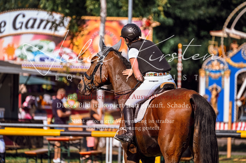 DSC_1179 | Pferde- und Turnierfotografie in Westsachsen. Pferdeportraits, Auftragszeichnungen und intuitive Kunst.