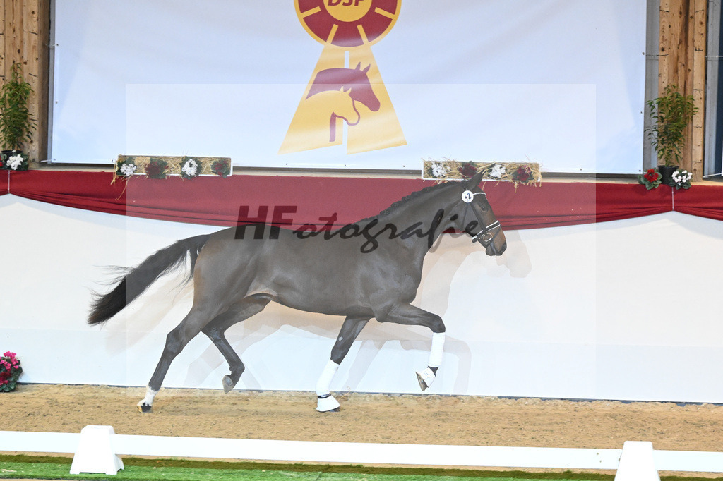 Kat-Nr. 42 De Beau_Schult_1230120 | hf-fotografie - Realisiert mit Pictrs.com