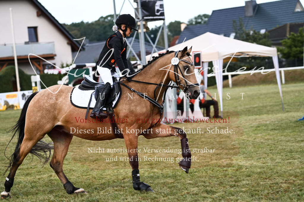 DSC_5609 | Pferde- und Turnierfotografie in Westsachsen. Pferdeportraits, Auftragszeichnungen und intuitive Kunst.