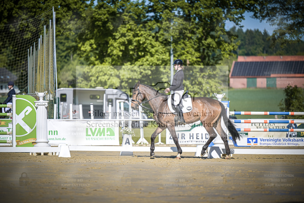 DOS_3104 | Entdecke hochwertige Reitturnierfotos von Foto Oger. Professionell, emotional und authentisch – jetzt Lieblingsmomente im Shop bestellen. - Realisiert mit Pictrs.com