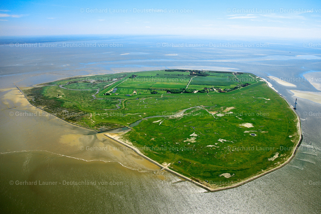 3090414 | Neuwerk, Nationalpark Hamburgisches Wattenmeer