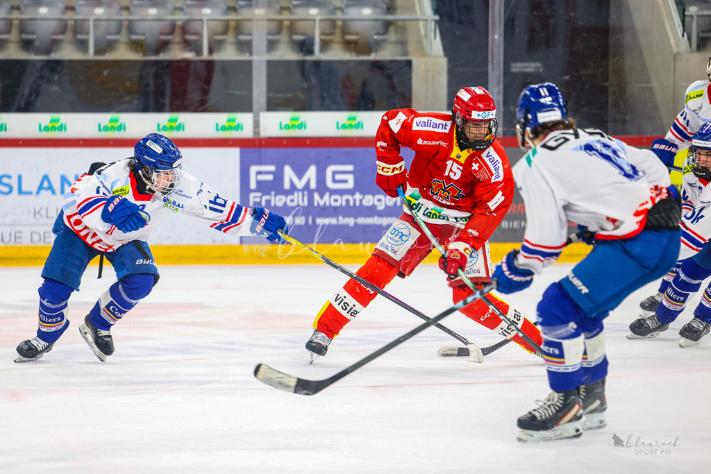 U18_EHCB vs EHCK_wb20260308-0831 | Sportbilder, Sportfotograf, Hochzeits- und Eventfotografin, Flugshows, Portraits und Tiershooting, Aviation, Downhill, Nationalleague, Swissleague, International