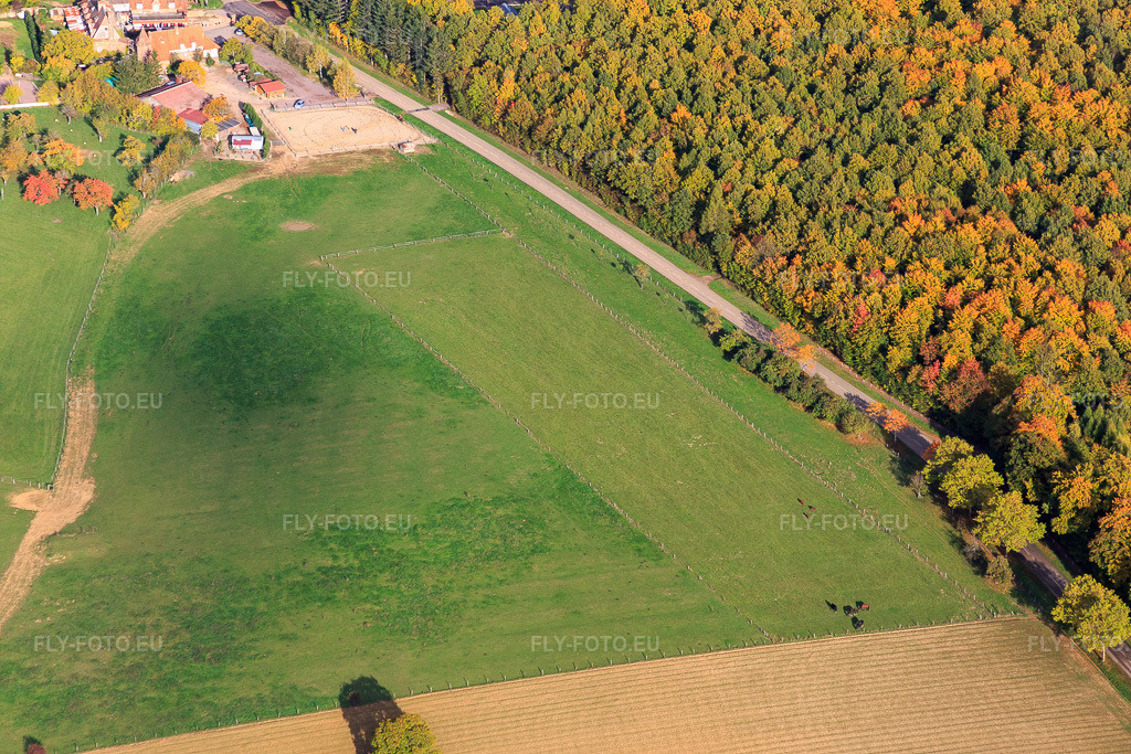 Vue aérienne: Ferme Mellon à Niederbronn-les-Bains dans le département Bas Rhin, France – .Photo: IMG_084710.jpg prise le 23/10/2015 par Werner Riehm/FLY-FOTO.eu – Résolution de l'original: 5472 x 3648 px – Ferme Mellon - Restaurant et chambres d'hôtes
