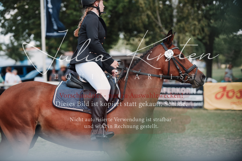 DSC_5846 | Pferde- und Turnierfotografie in Westsachsen. Pferdeportraits, Auftragszeichnungen und intuitive Kunst.