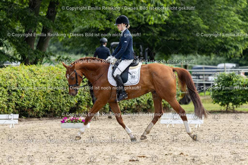 CL5A5130 | Emilia Reinking Fotografie - Realisiert mit Pictrs.com