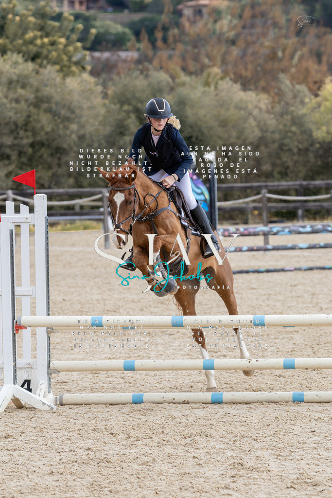 IMG_4691 | s-jay-photography - Realisiert mit Pictrs.com