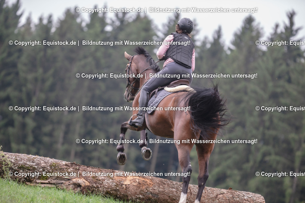 20250726_Vielseitigkeitslehrgang-Marbach_0253 | Foto: Thomas Hartig