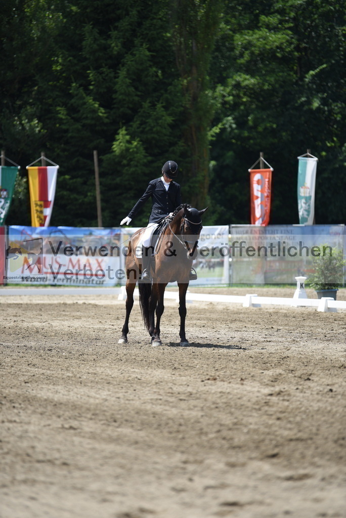 DSC_0113 | equestrian-live-com