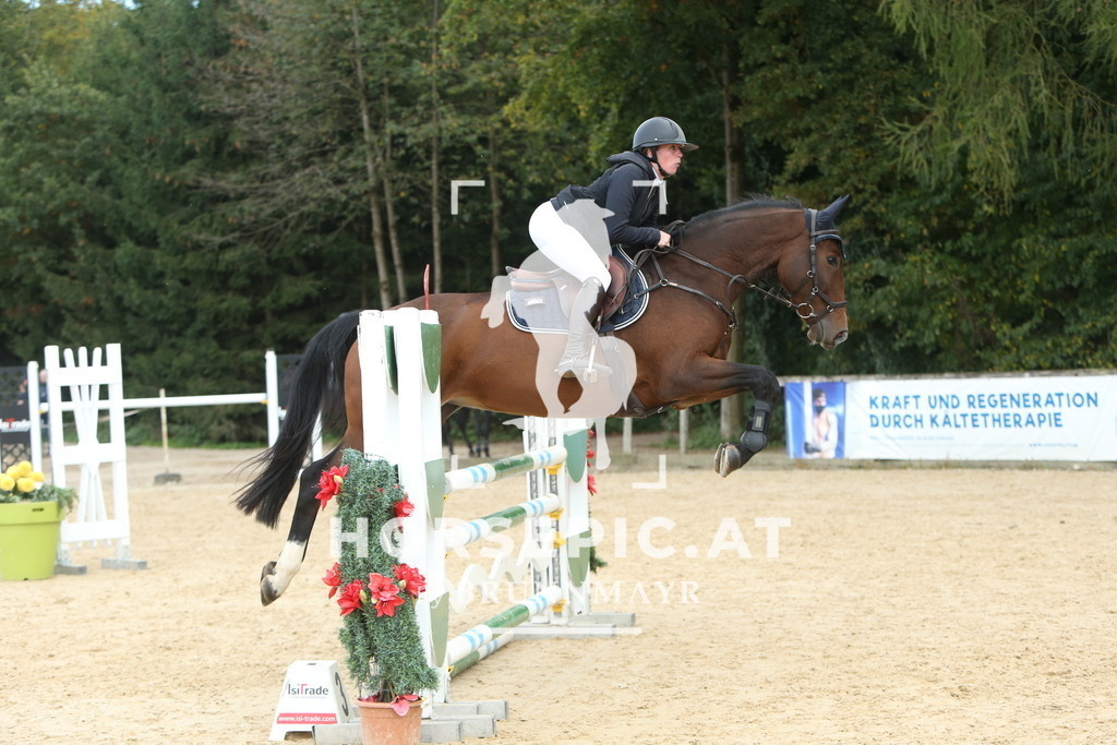 DL2Q7099 | Willkommen bei Brunnmayr - Design & Fotografie – Ihrem Spezialisten für Reitturniere und Pferdeveranstaltungen in Oberösterreich, Salzburg und Bayern! Seit über 17 Jahren sind wir leidenschaftlich dabei.