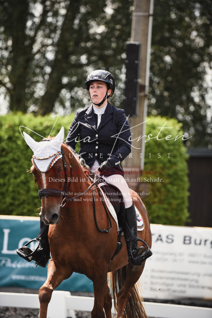 DSC_4243 | Pferde- und Turnierfotografie in Westsachsen. Pferdeportraits, Auftragszeichnungen und intuitive Kunst.