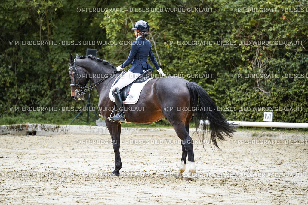 DSC00724 | Pferdegrafie