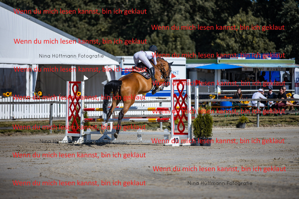 BK1A5661 | Turnierbilder Turnierfotos Nina Hüffmann Turnierfotografie Pferdefotografie Tierzeichnung Haustierzeichnung Pferdezeichnung Hundezeichnung Videograf  - Realisiert mit Pictrs.com