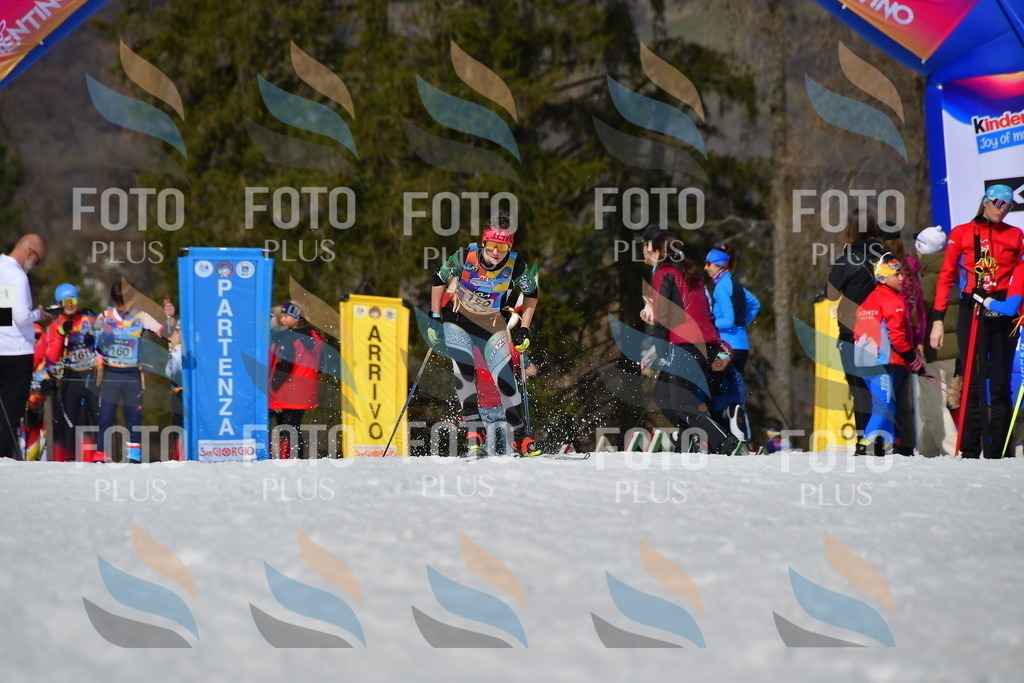 _DSC0381 | holidayphoto