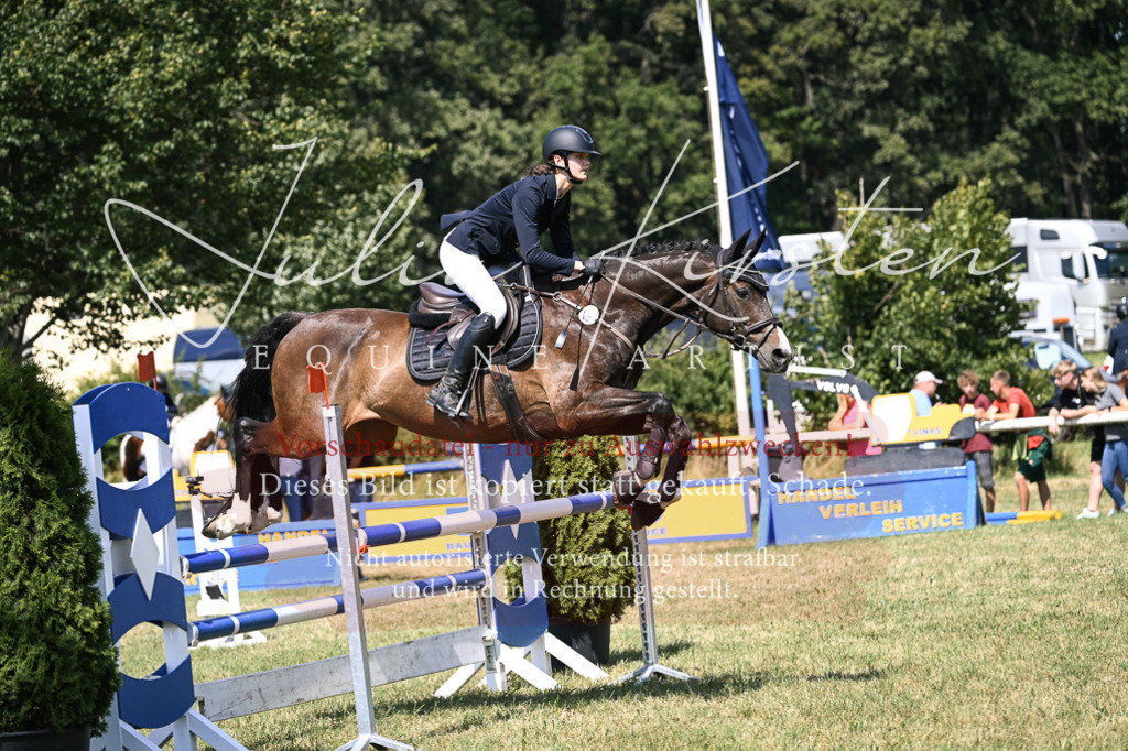 DSC_0454 | Pferde- und Turnierfotografie in Westsachsen. Pferdeportraits, Auftragszeichnungen und intuitive Kunst.