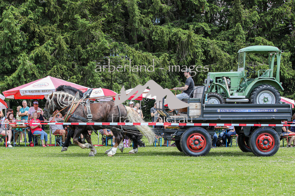 OE7A4547 | Beim Zugpferdetreffen in Poschedtsried galt es verschiedene Wettbewerbe zu meistern, Einzelrennen im Reiten, Traktorpulling und auch ein Hunderennen wurde veranstaltet