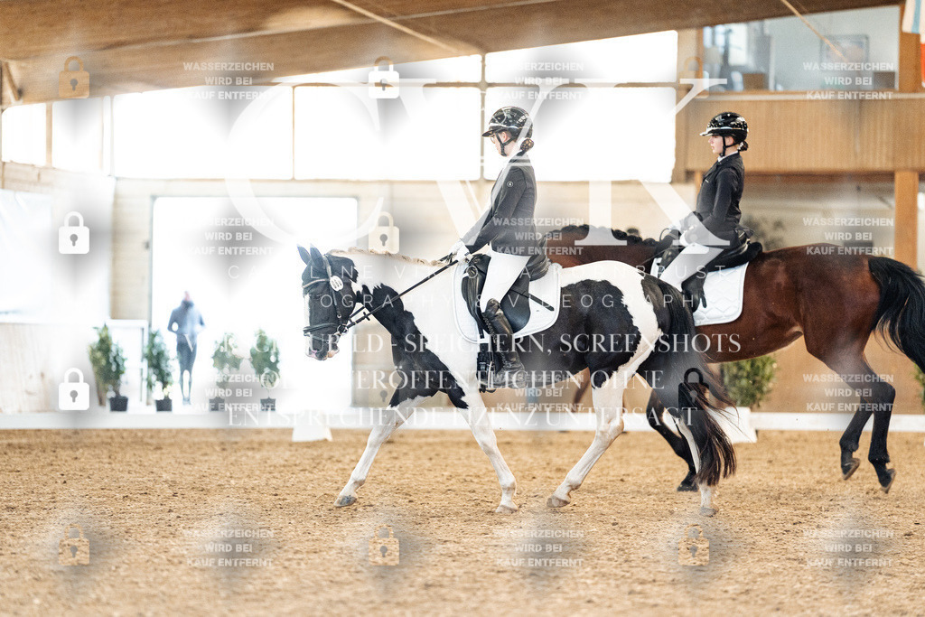 CK907691 | Turnierfotografie Pferdefotografie Trier Rheinland-Pfalz Pferdesport Reitsport Tierfotografie Sportfotografie Pferdevideo Pferdevideografie Equestrianvideography equestrianphotography  - Realisiert mit Pictrs.com