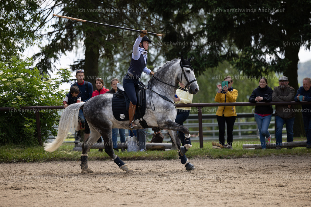 Masterclass_stoibphotography_C2_C8342.CR3 | working equitationturnier fotograf videograf stoibphotography marixx film working equitation deutschland reitsport turnierfotografie eventfotografie equestrian events