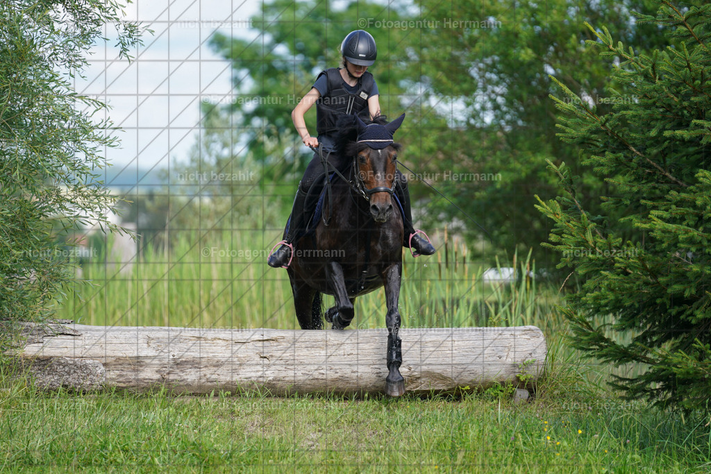 20240622-FAH08121 | Turnierfotografen Bayern, Reitsportbilder aus dem Geländekurs mit Felix Etzel auf dem Gut Waitzacker 2024