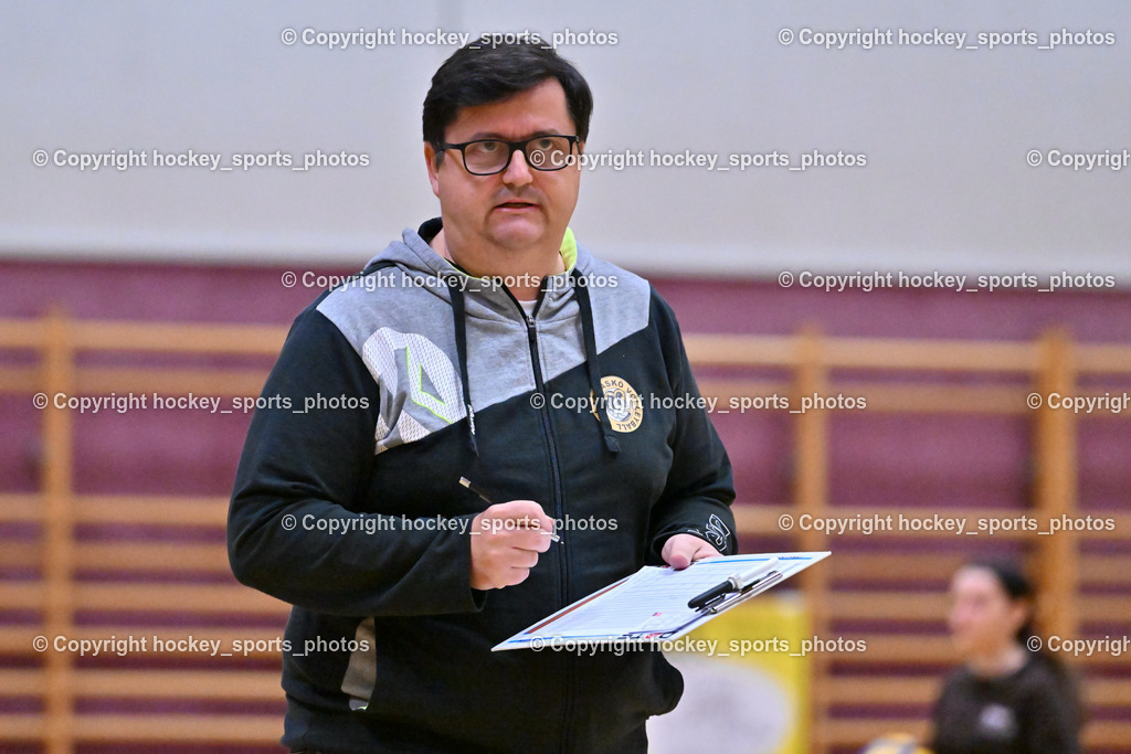 ASKÖ Volley Eagles vs. VC Raiffeisen Dornbirn 26.11.2022 | HABJAN Danijel Headcoach Eagles Villach