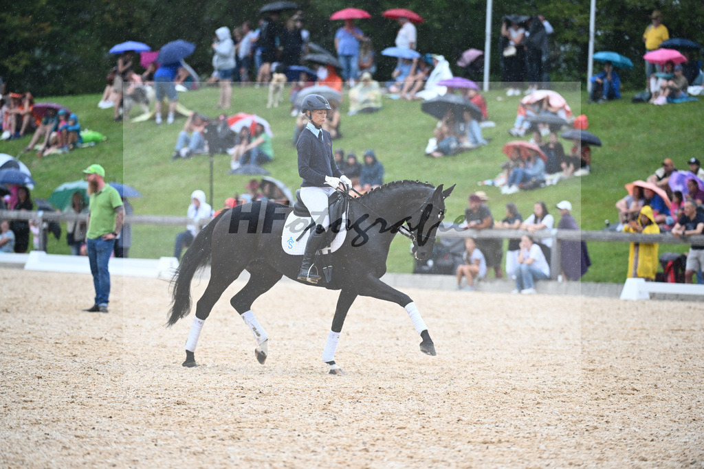 Sparten des Reitsports aus der eigenen Zucht_36240955 | hf-fotografie - Realisiert mit Pictrs.com