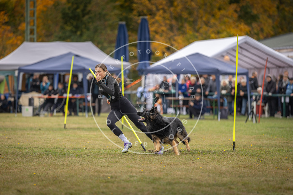 Pfotenfotografie_DV3A7744 | Hundefotografie, Tierfotograf, Pfotenfotografie, Fotoshooting Hund, Hunde Portrait, Hundesport, Hundeportraits, Heideshooting, Hunde, Sportfotograf, Hundefotograf, Turnierhundsport, THS,  - Realisiert mit Pictrs.com