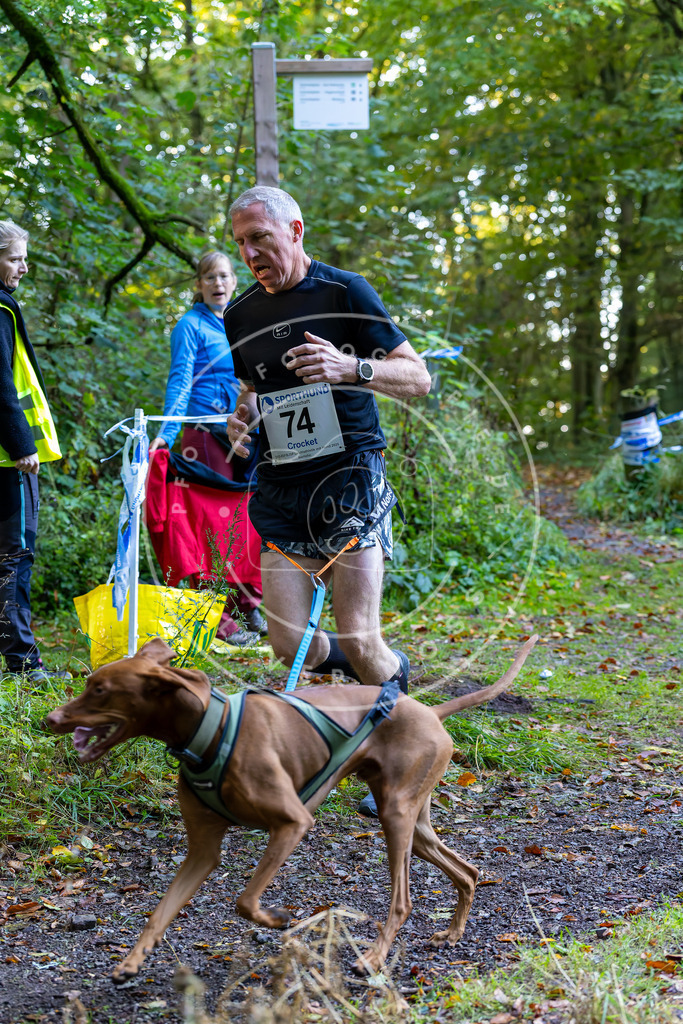 Pfotenfotografie_DV3A7432 | Hundefotografie, Tierfotograf, Pfotenfotografie, Fotoshooting Hund, Hunde Portrait, Hundesport, Hundeportraits, Heideshooting, Hunde, Sportfotograf, Hundefotograf, Turnierhundsport, THS,  - Realisiert mit Pictrs.com