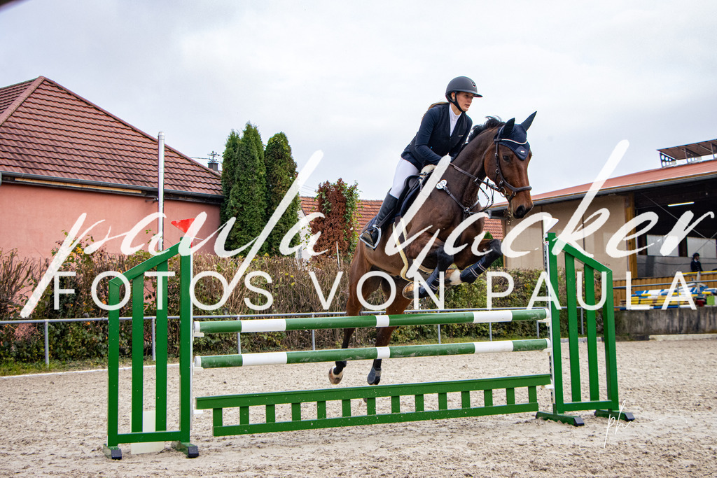 IMG_4338 | Erleben Sie dynamische Sport- und emotionale Tierfotografie in Süddeutschland mit Fotos von Paula. Spezialisiert auf Pferde- und Hundefotografie sowie Sportevents. Kontaktieren Sie mich für einzigartige und ausdrucksstarke Bilder Ihrer besonderen Momente. - Realisiert mit Pictrs.com