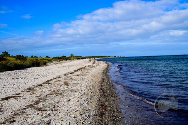 _DSC3124 | Shop für Prints Landschaftsfotografie Sächsische Schweiz Naturfotografie in Thüringen Fotos vom Findlingspark Nochten Kloster Sankt Marienstern Bilder Festung Königstein PanoramaRhododendronpark Kromlau FotogalerSchleswig-Holstein Küstenlandschaften