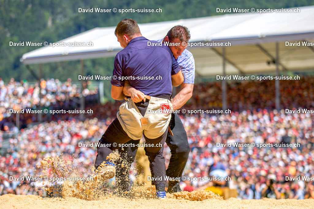 253008 Moser Michael __ - Orlik Armon ___ _ L_Eidg. Schwing- und Älplerfest (ESAF) Glarnerland+_ Mollis_ le 30.08.2025 | 253008 Moser Michael ** - Orlik Armon *** à L'Eidg. Schwing- und Älplerfest (ESAF) Glarnerland+, Mollis, le 30.08.2025