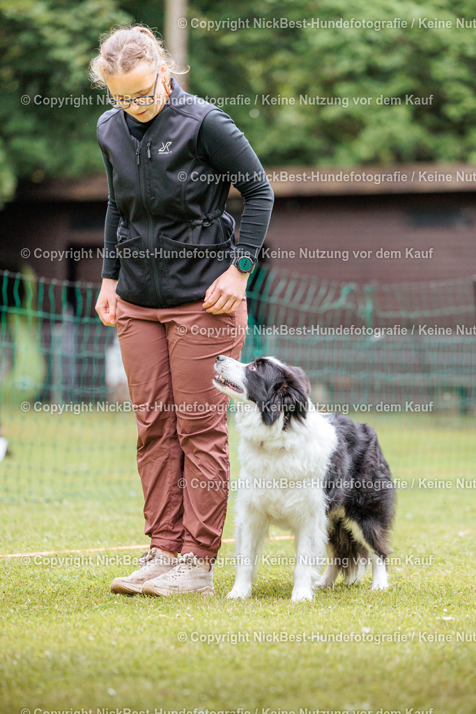 RO-Blumenthal-2026-Nickbest-Hundefotografie-2282 | Dein Hund! Dein Moment! Deine Erinnerungen! Hundefotografie in Bremen Blumenthal. Ich fange die besonderen Momente deines Vierbeiners ein – ob Indoor mit Blitzanlage oder in der freien Natur. Sicher dir dein Moment und dein Termin für eure Erinnerungen.