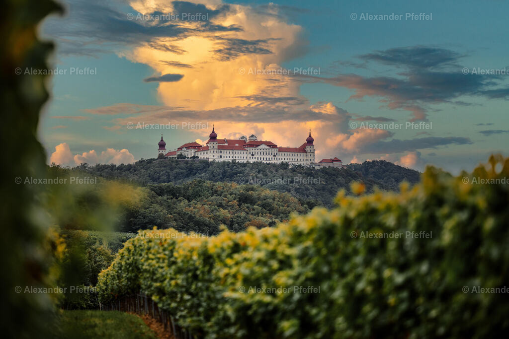 foto_c_pfeffel-partner-0030-R5_12415-HDR-Bearbeitet | alexander-pfeffel - Realisiert mit Pictrs.com