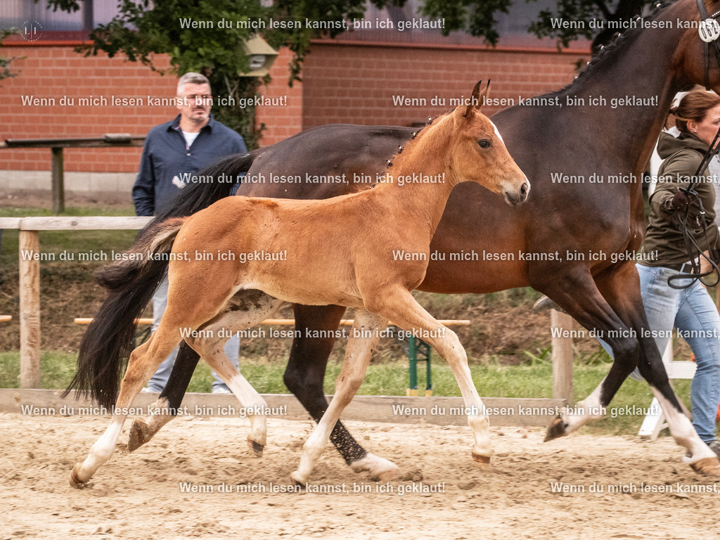A10I6326 | photographylinaismer - Realisiert mit Pictrs.com