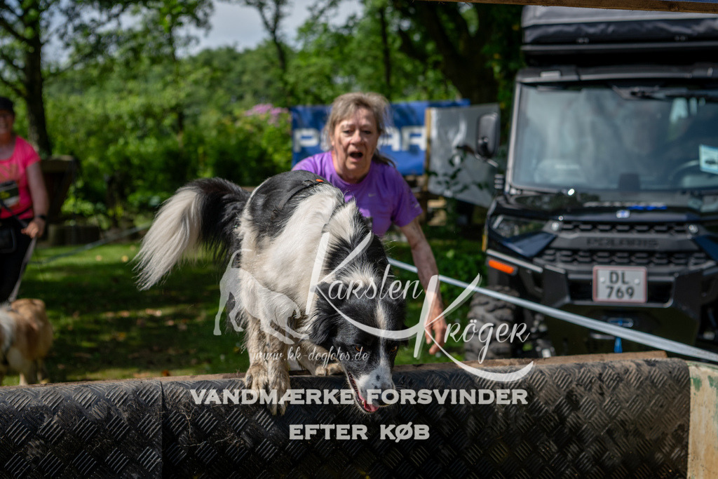 1101_ZZ92397 | kk-dogfotos