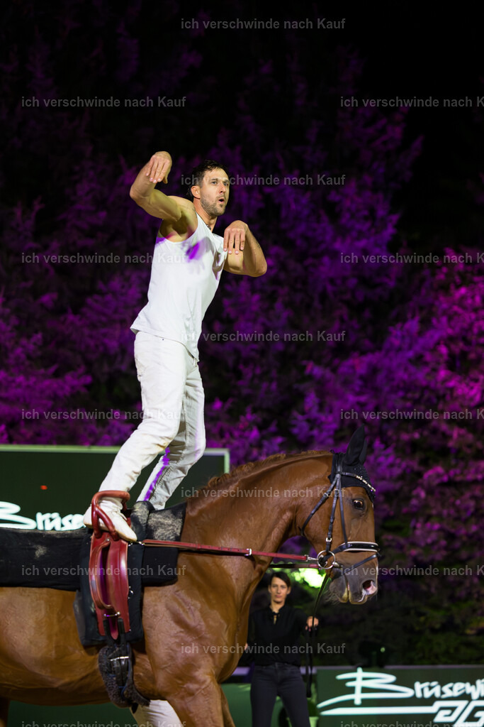 Gala-298 | working equitationturnier fotograf videograf stoibphotography marixx film working equitation deutschland reitsport turnierfotografie eventfotografie equestrian events